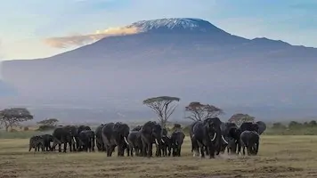 Mount Kilimanjaro